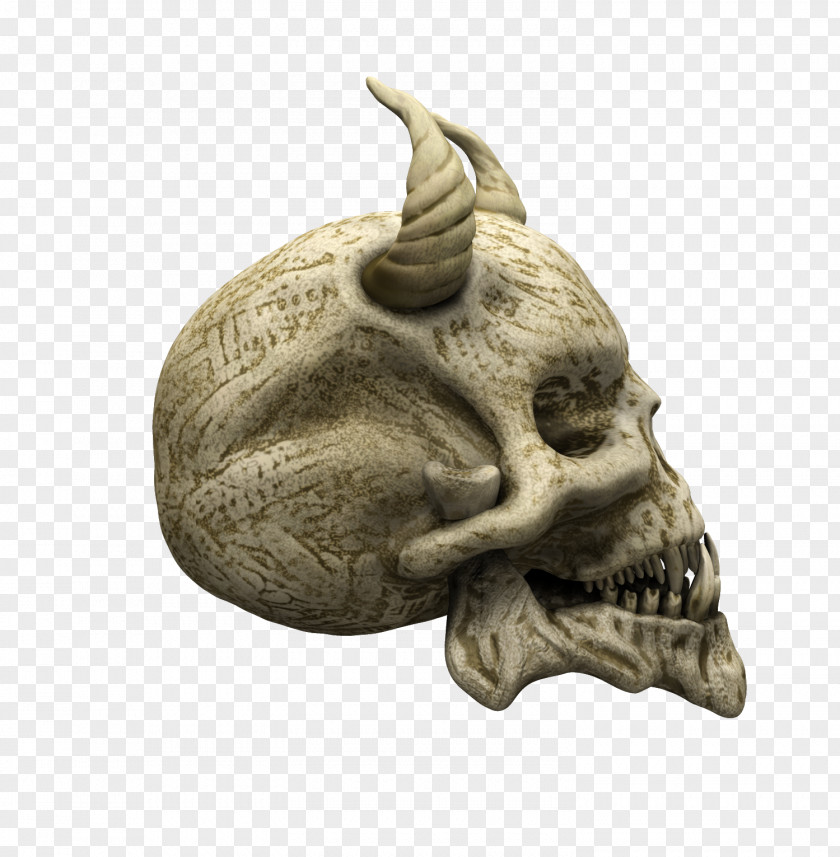 Skull Human Skeleton Bone Face PNG