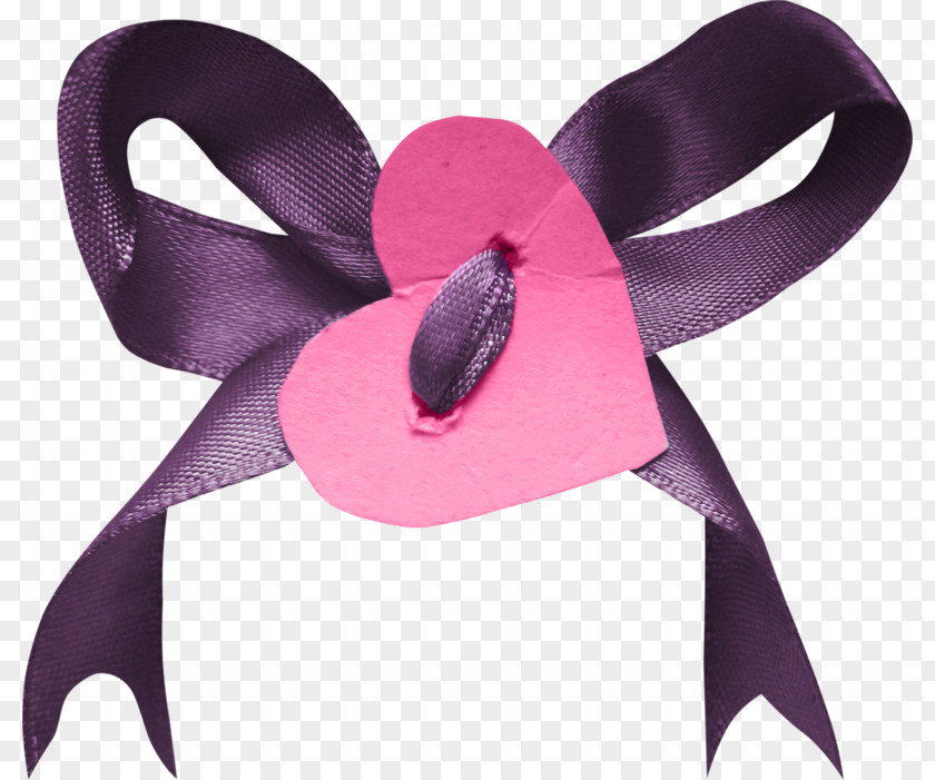 A Bow Paper Google Images PNG