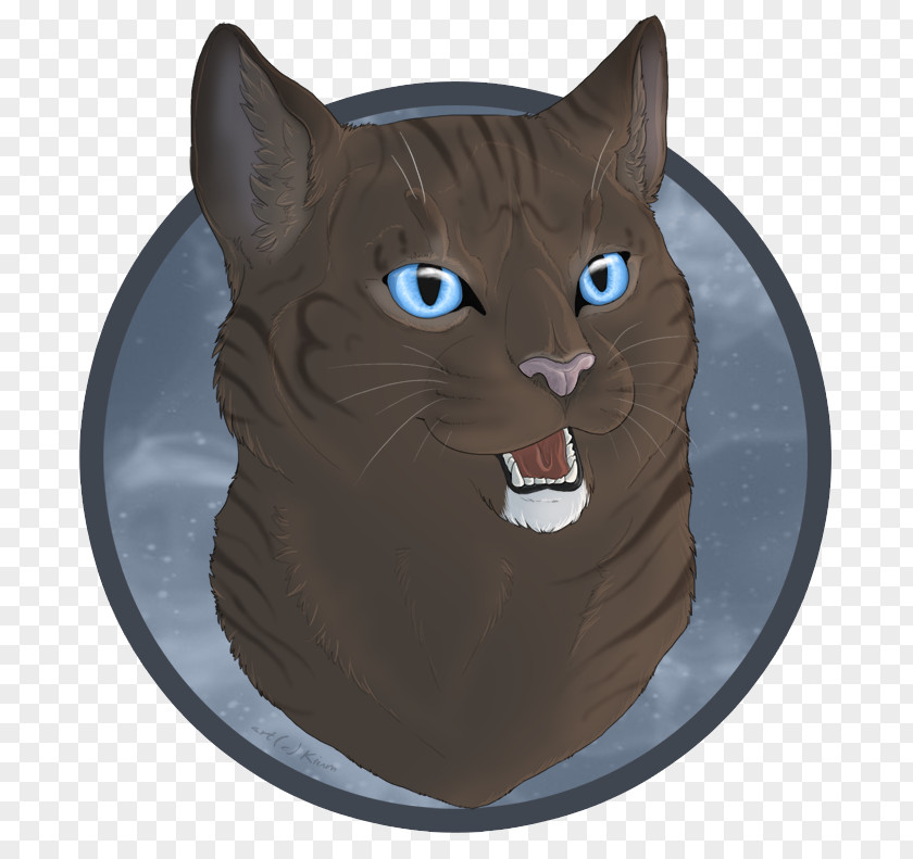 Cat Whiskers Domestic Short-haired Snout Paw PNG