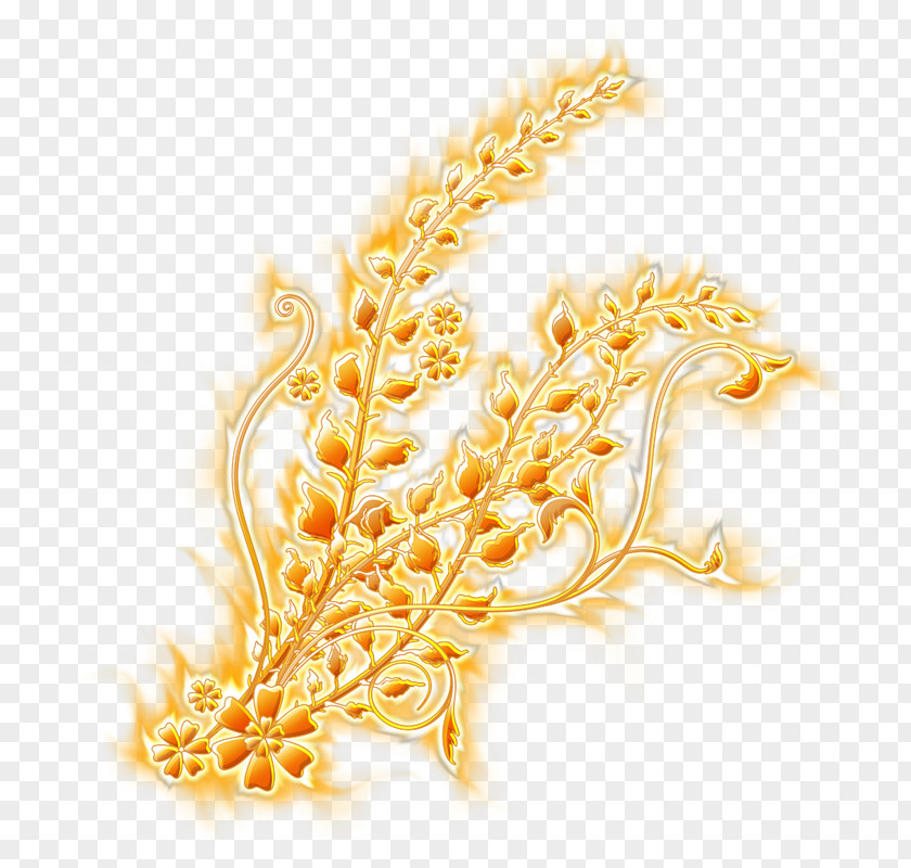 Gold Vignette Photography PNG