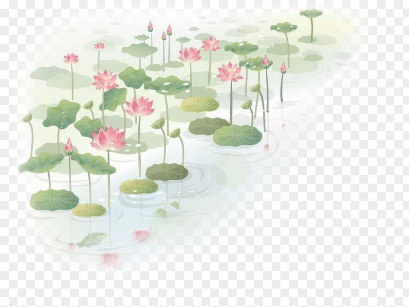 Hand-painted Lotus Wall Decal Flower Nelumbo Nucifera Clip Art PNG