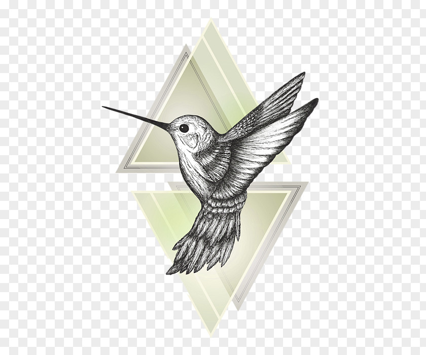 Hummingbird Drawing Art PNG