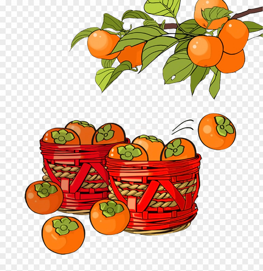 Persimmon Tree Basket Shuangjiang Mangzhong Clementine Solar Term Illustration PNG