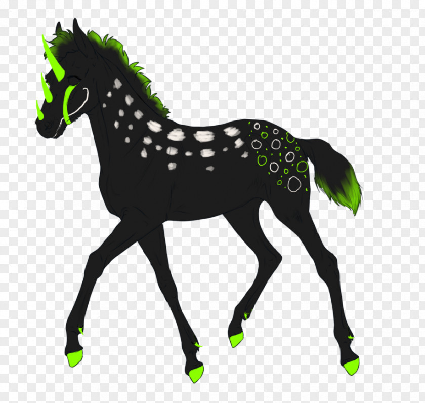 Speak Now Album Artwork For Mustang Mare Pony Stallion Foal PNG