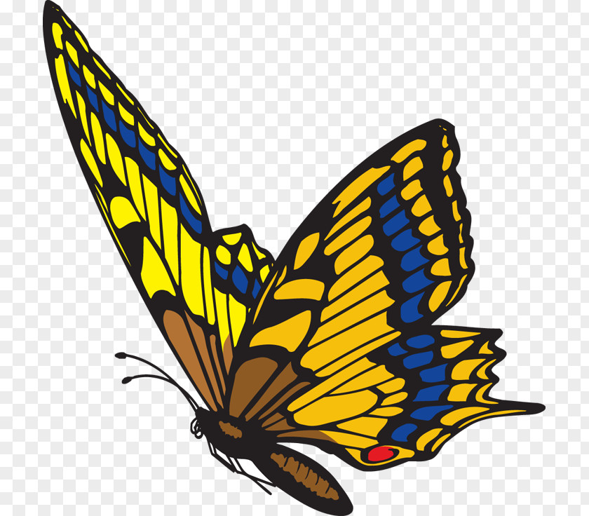 Yellow Tail Cliparts Butterfly Free Content Clip Art PNG