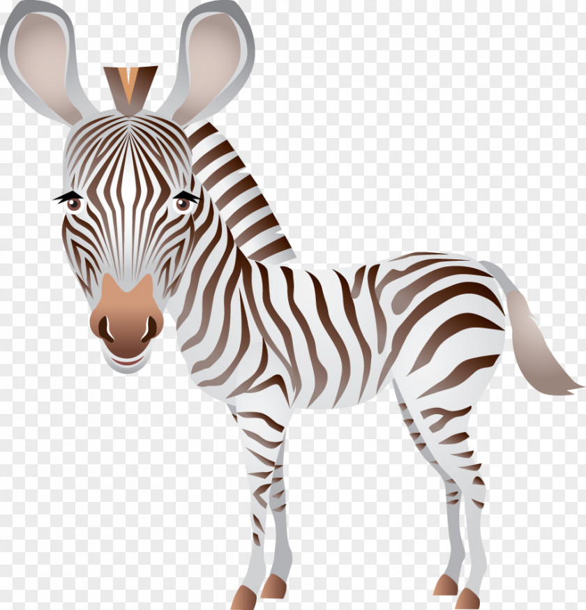Zebra Quagga Clip Art PNG