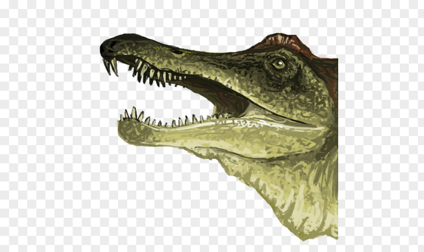 Alligator Nile Crocodile Velociraptor Tyrannosaurus PNG