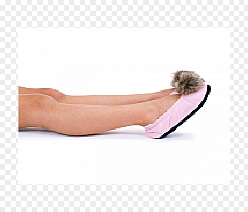 Ballet Slippers Slipper Flat Shoe PNG