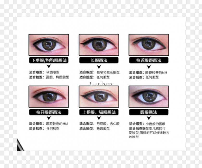 Eye Liner Shadow Eyebrow Color PNG