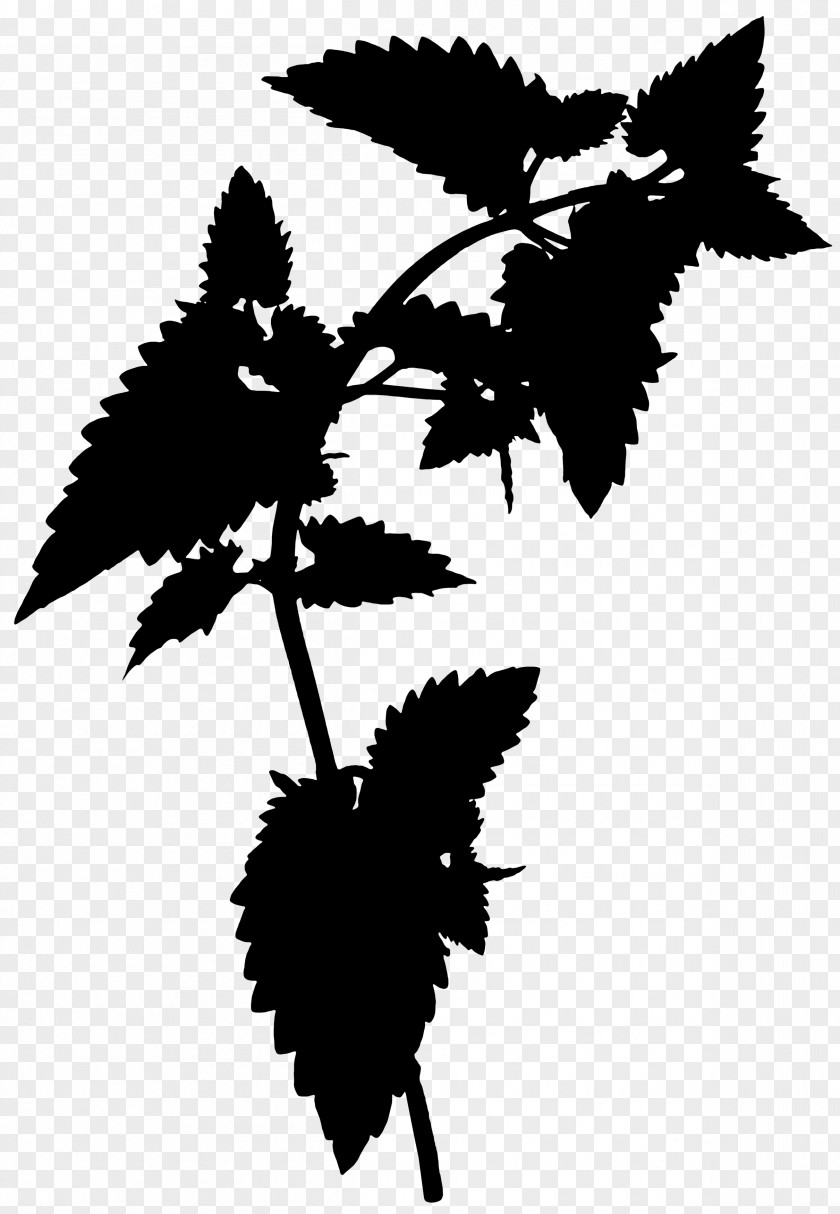 Flowering Plant Silhouette Leaf Plants PNG