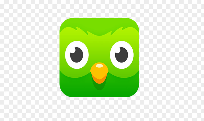 Ielts Duolingo Learning Foreign Language Translation PNG