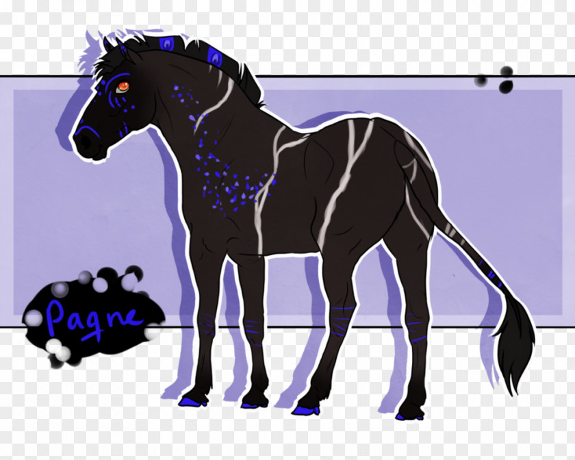 Mustang Mule Foal Stallion Colt PNG