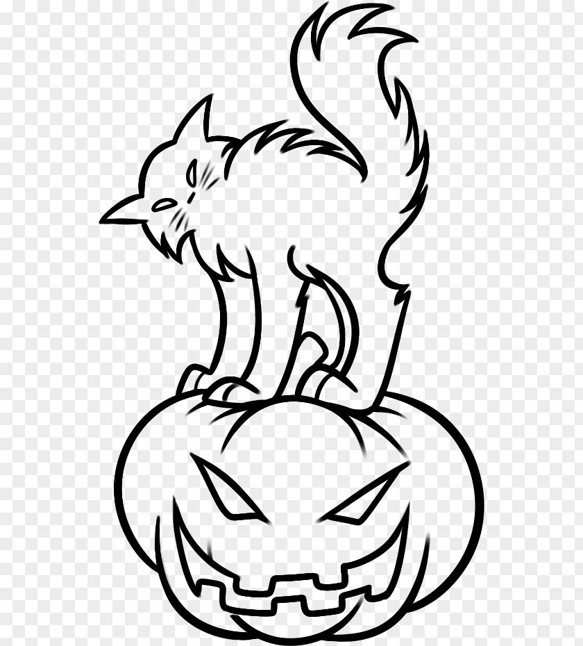 Pumpkin Drawing Whiskers Visual Arts Cat PNG