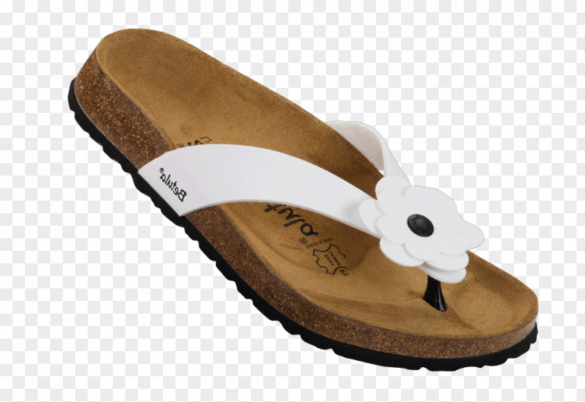 Sandal Slipper Flip-flops Slide Shoe PNG