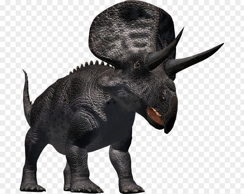 Dinosaur Zuniceratops African Elephant Triceratops Horn Pachycephalosaurus PNG