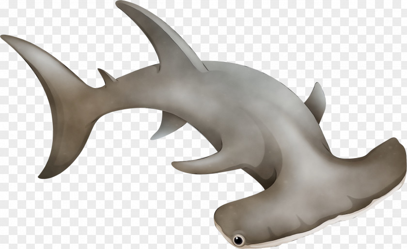 Fin Requiem Shark Background PNG