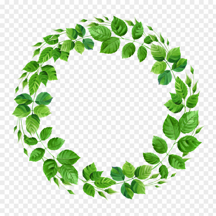 Leaf Circle Green Tree Biology PNG