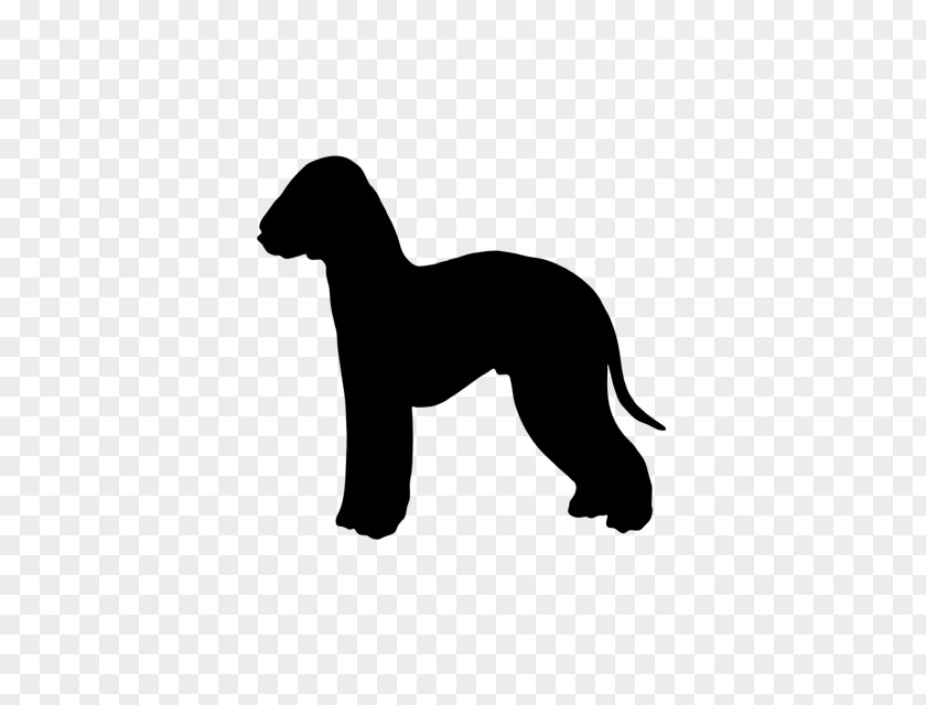 Puppy Italian Greyhound Dog Breed Bedlington Terrier Airedale Border PNG