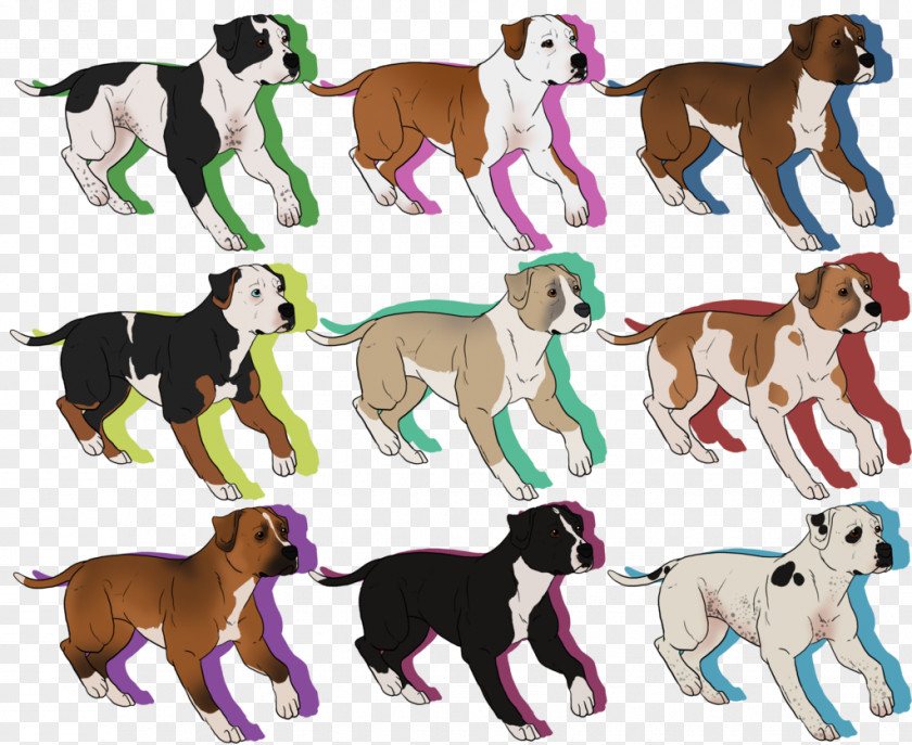 American Pit Bull Terrier Staffordshire T Dog Breed Puppy Chihuahua Companion Eskimo PNG