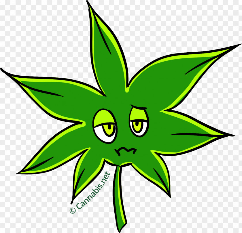 Cannabis Kush Xerostomia Insomnia Stress PNG