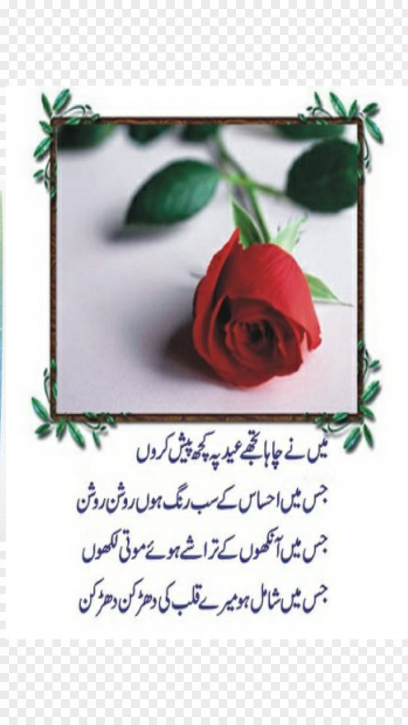 Good Morning Poetry In Urdu Eid Al-Fitr Al-Adha PNG