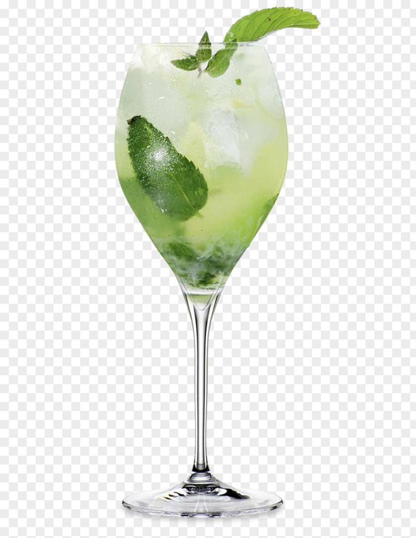 HUGO Cocktail Garnish Mojito Gin And Tonic Mai Tai PNG