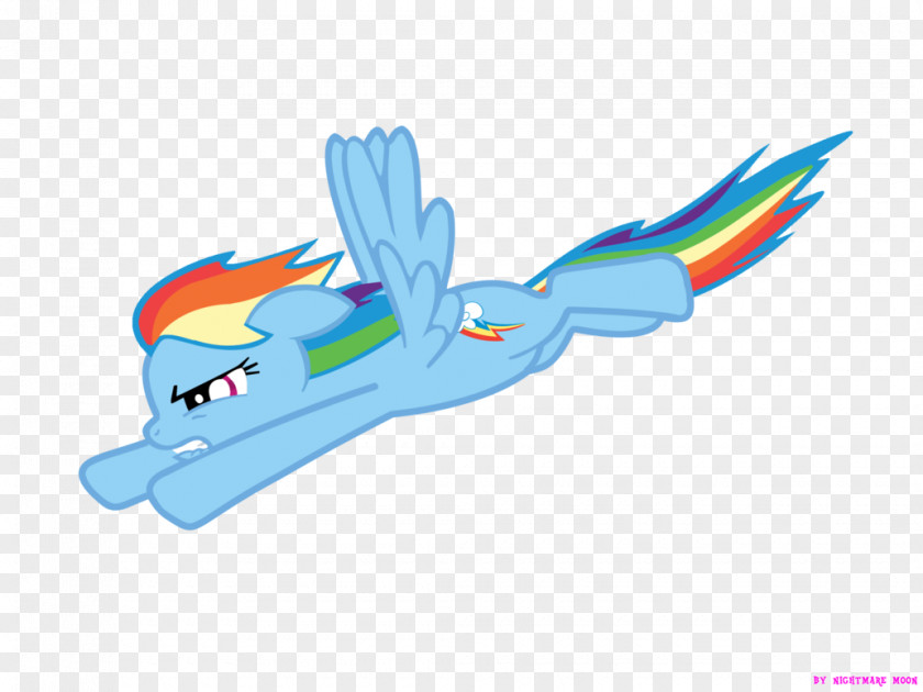 Flying Rainbow Dash Animation My Little Pony Derpy Hooves PNG