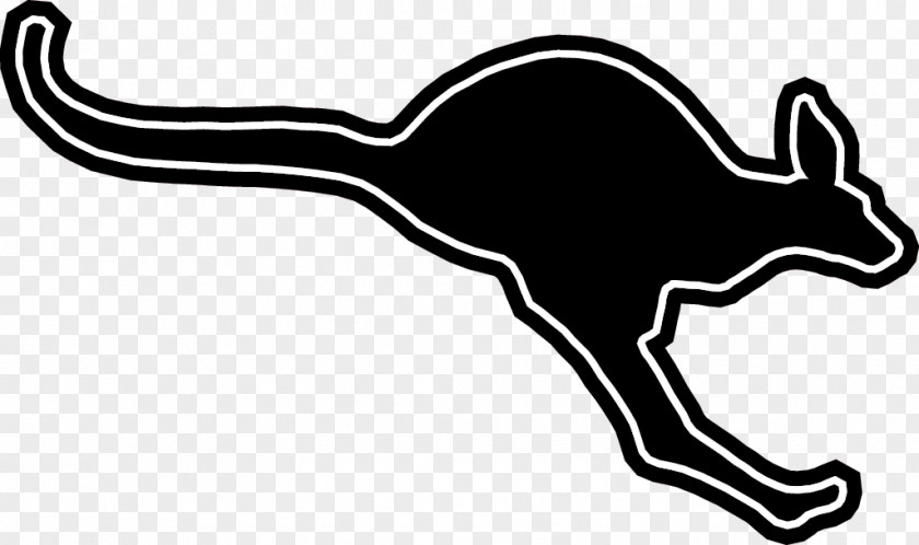 Kangaroo Austin College Kangaroos Football Men's Basketball Logo Clip Art PNG