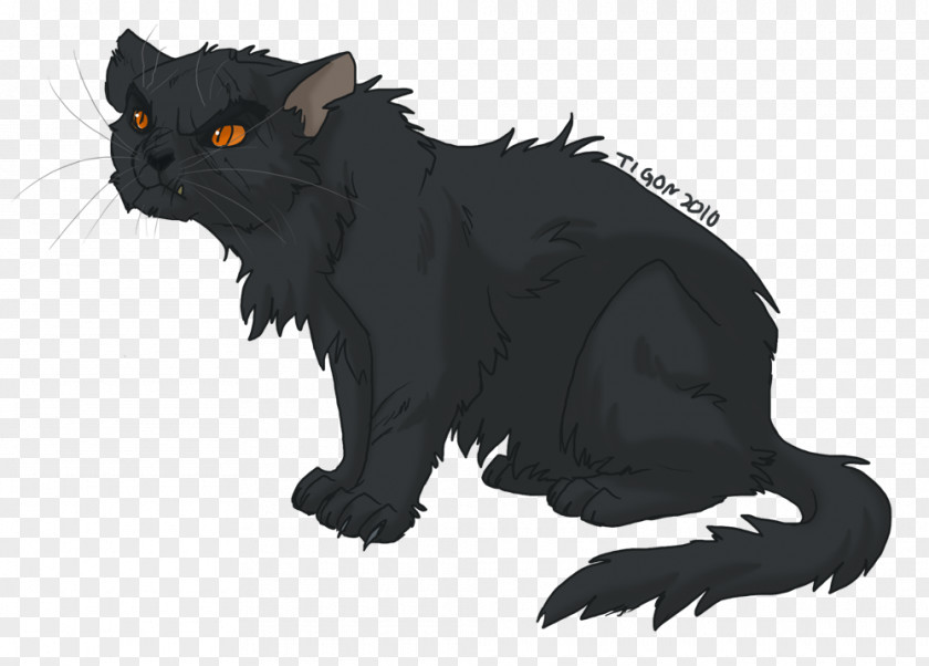 Kitten Black Cat Yellowfang Whiskers PNG