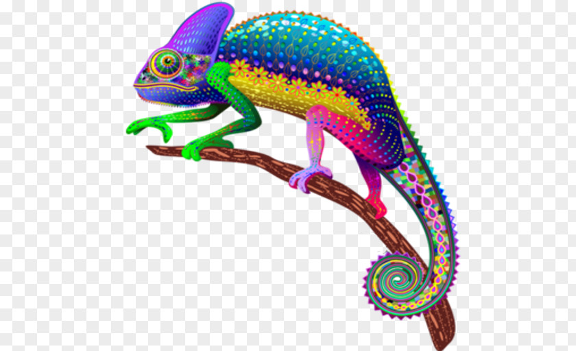 Lizard Panther Chameleon Veiled Mimicry Clip Art PNG