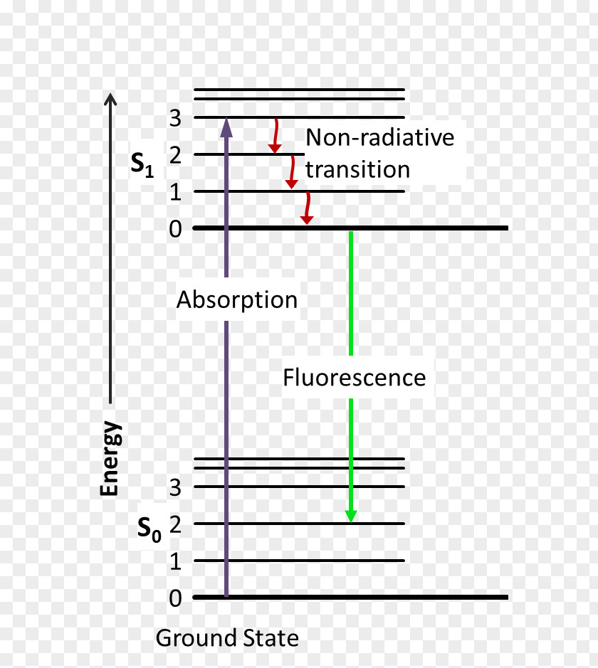 Luminescence Jablonski Diagram Fluorescence Excited State Phosphorescence Absorption PNG