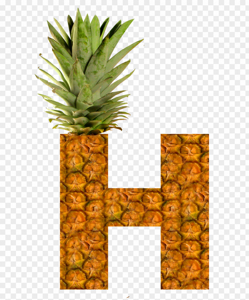 Pineapple Fruit Drawing Colored Pencil Food PNG