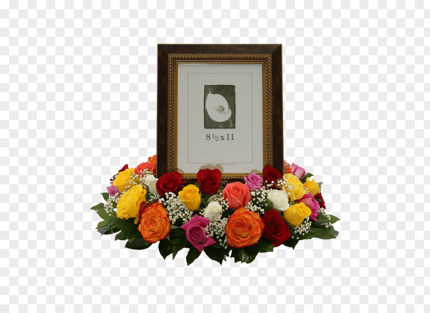 Rose Picture Frames Floral Design Cut Flowers PNG