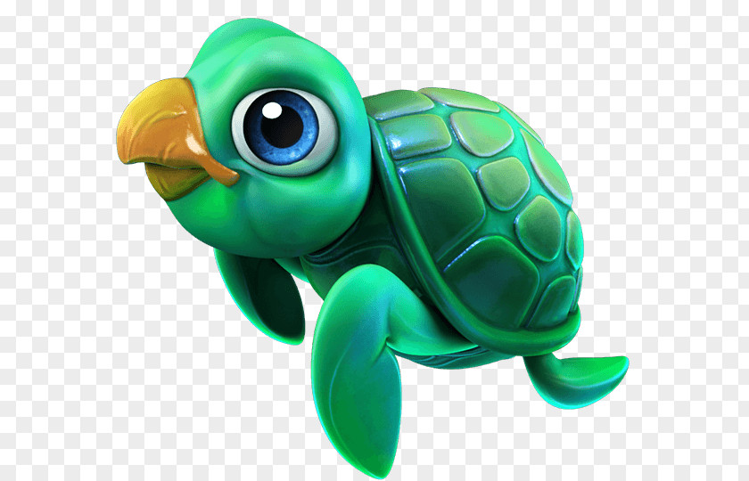Turtle Loggerhead Sea Tortoise Product PNG