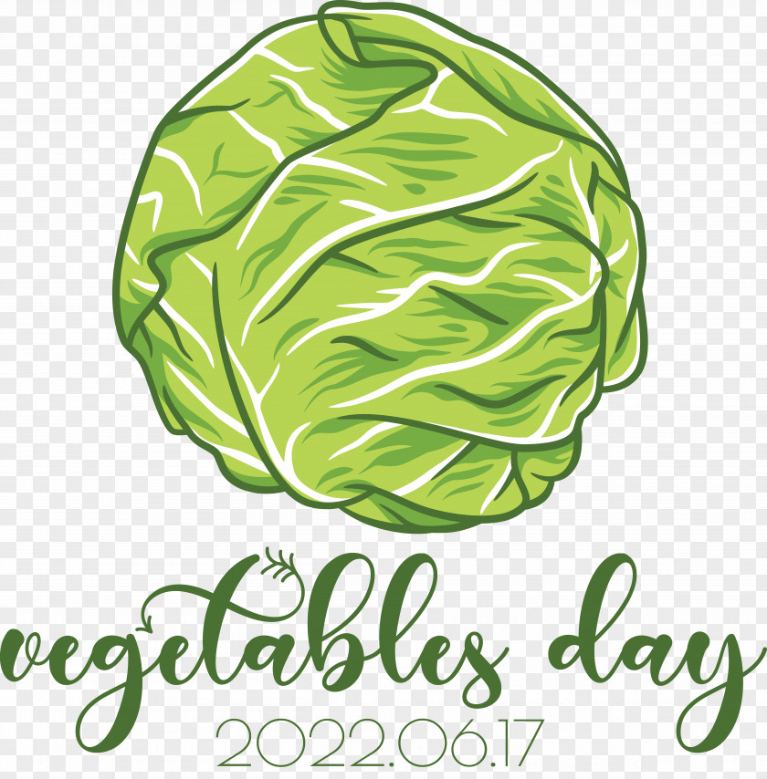 Vegetable Leaf Leaf Vegetable Cabbage Logo PNG