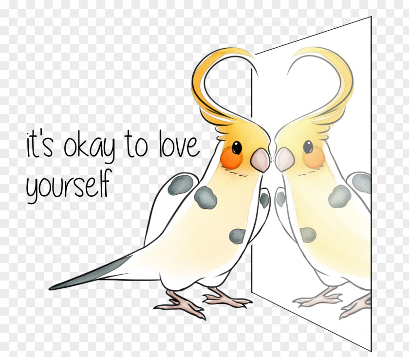 Bird Lutino Cockatiel Cockatoo Clip Art PNG