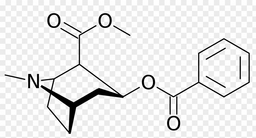 Cocaine Alkaloid Drug Chemical Compound Erythroxylum Coca PNG