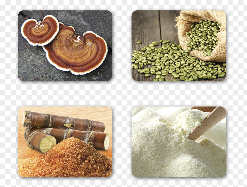 Coffee Powdered Milk Recipe Container PNG