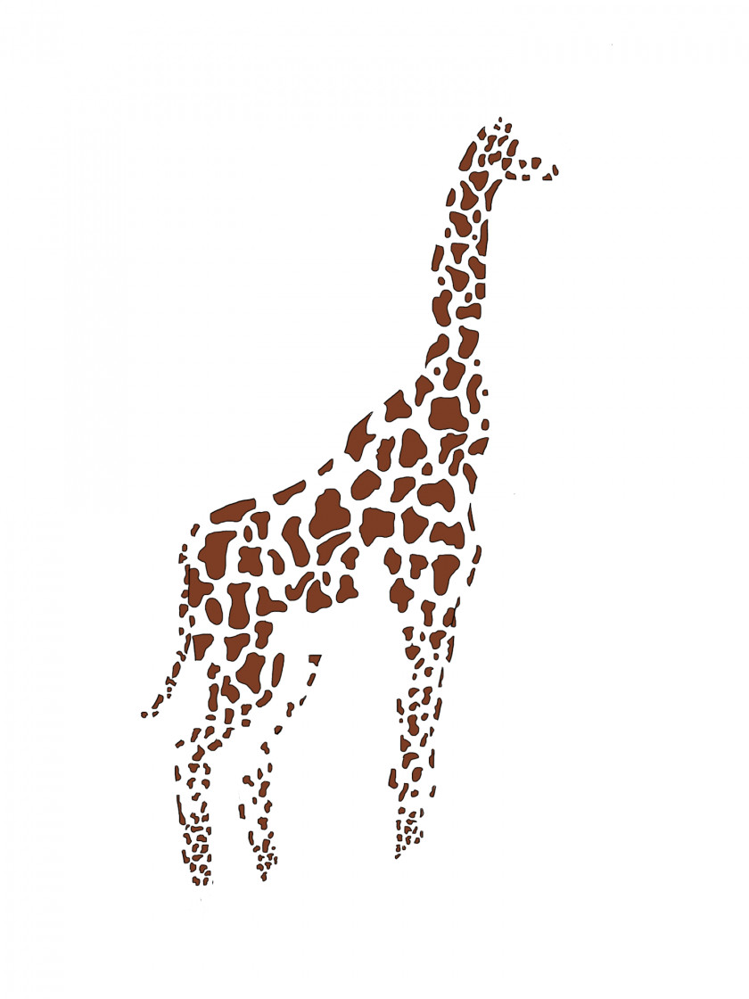 Giraffe Baby Giraffes Drawing Animal PNG