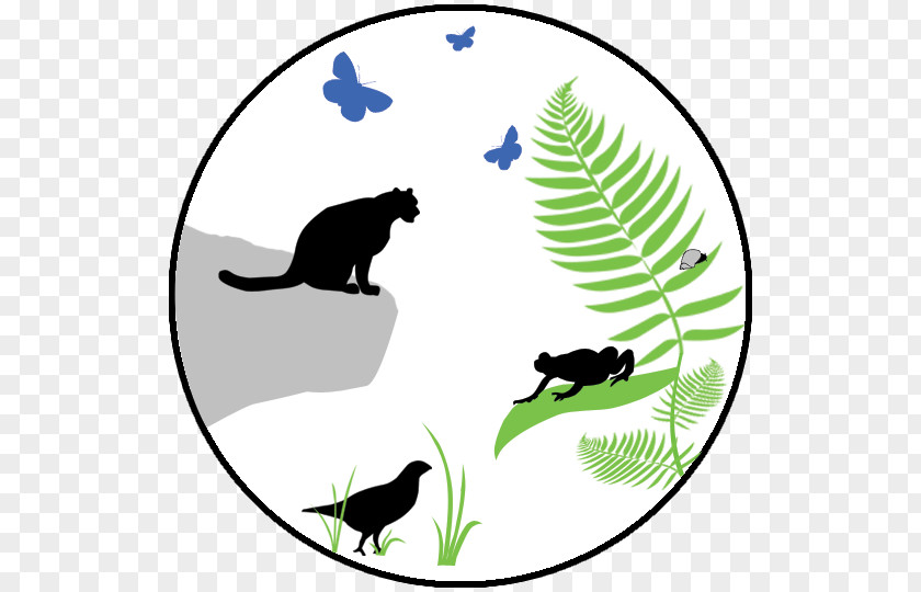 Transparent Adaptability Icon Cat Wildlife Clip Art PNG