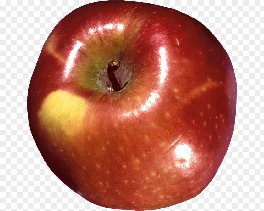 Apple Red Apples Clip Art Fruit World Wide Web PNG