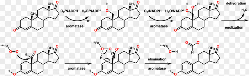 Aromatase Trenbolone Molecule Steroid Oxandrolone PNG