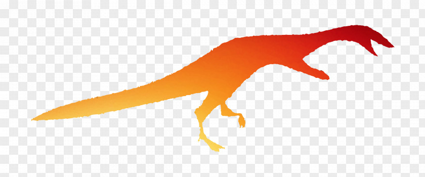 Dinosaur Clip Art Beak PNG