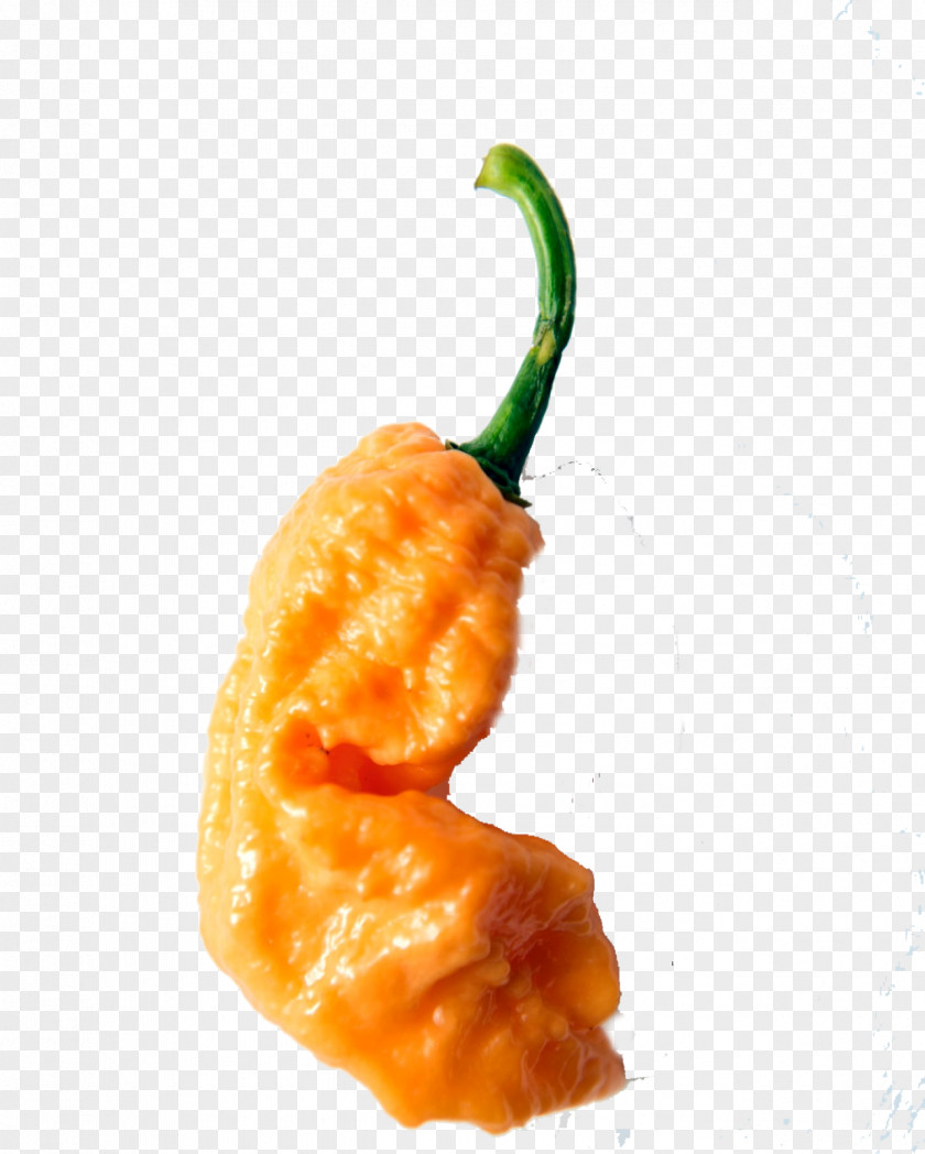 Dragon Peppers Scoville Scale Habanero Bird's Eye Chili Unit Pepper Carolina Reaper PNG