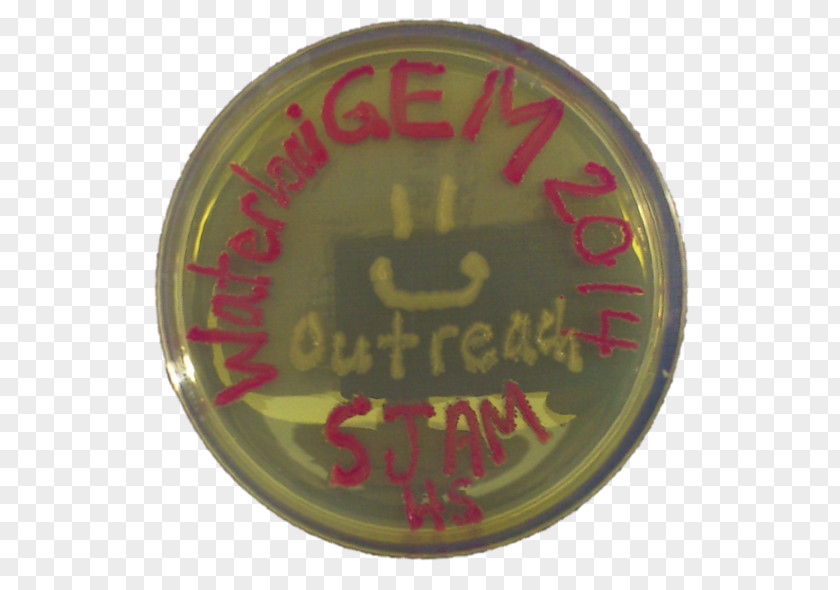 Outreach Badge Font PNG