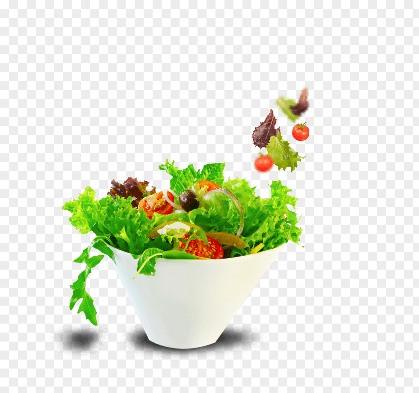 Salad Greek Raw Foodism Bowl Leaf Vegetable PNG