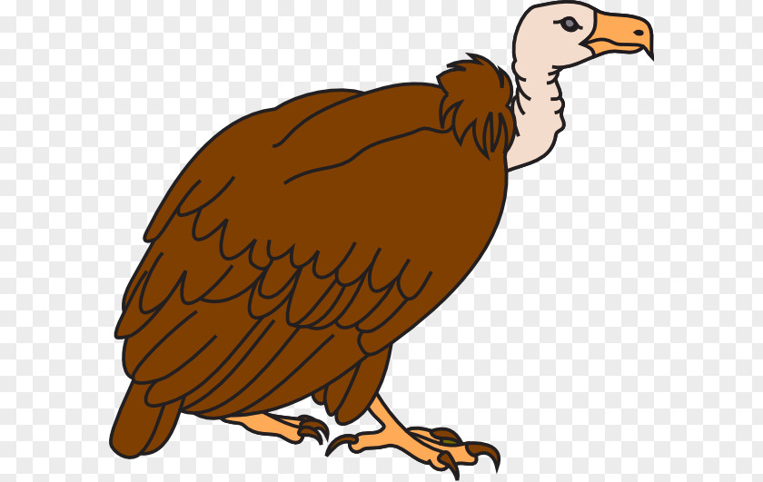 Vulture Cliparts Beaky Buzzard Cartoon Clip Art PNG