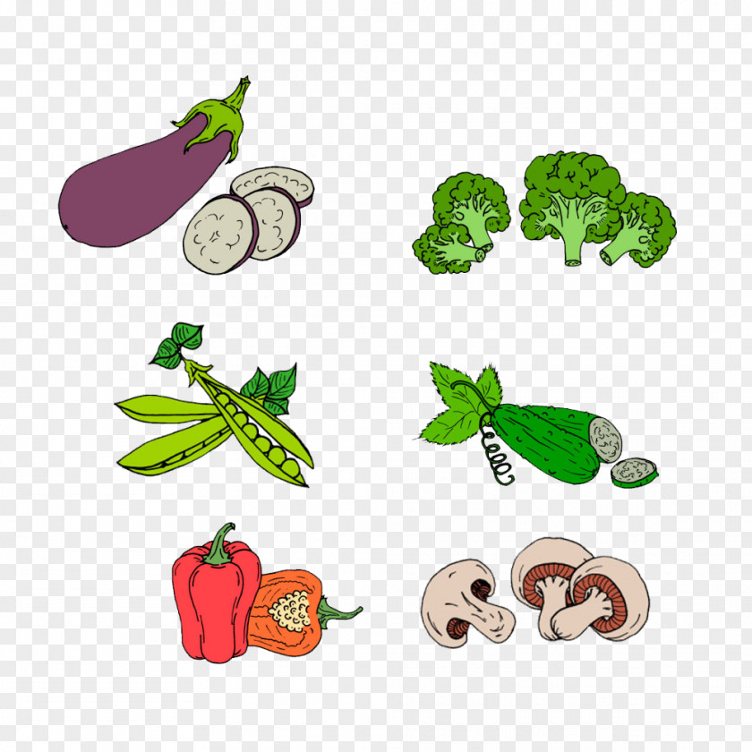 All Kinds Of Vegetables Pattern Vegetable Vecteur Drawing PNG