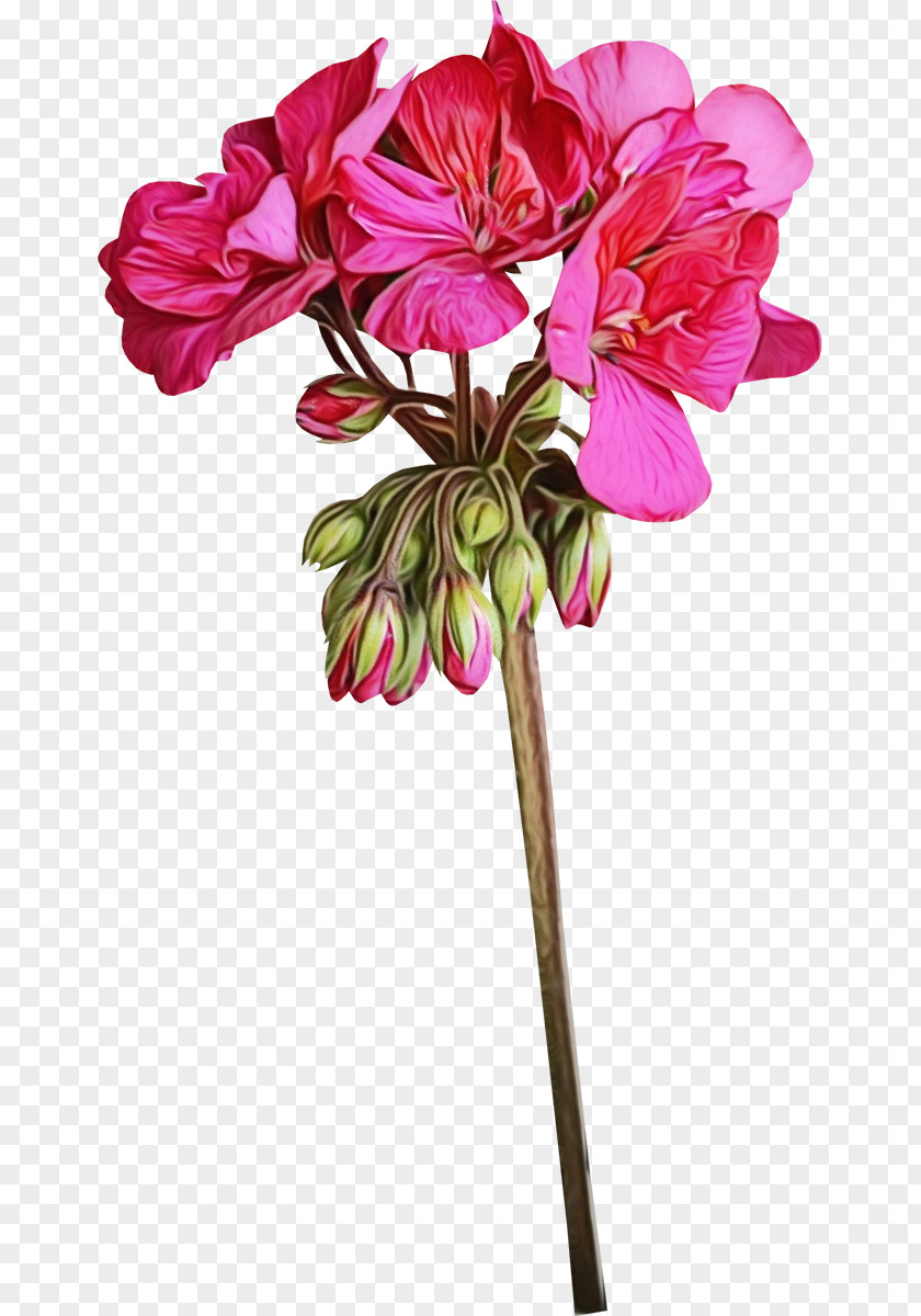 Artificial Flower Magenta PNG