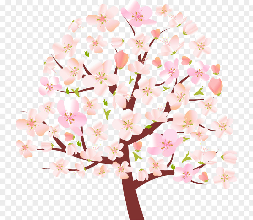 Cartoon Cherry Tree Spring Blossom Clip Art PNG
